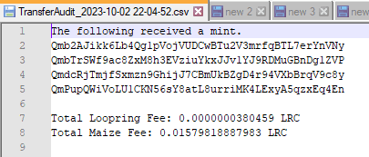 Audit File